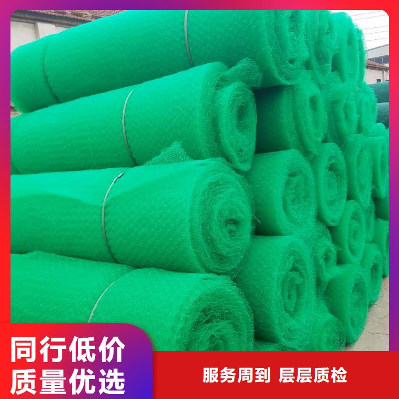 【三維植被網大廠家實力看得見】