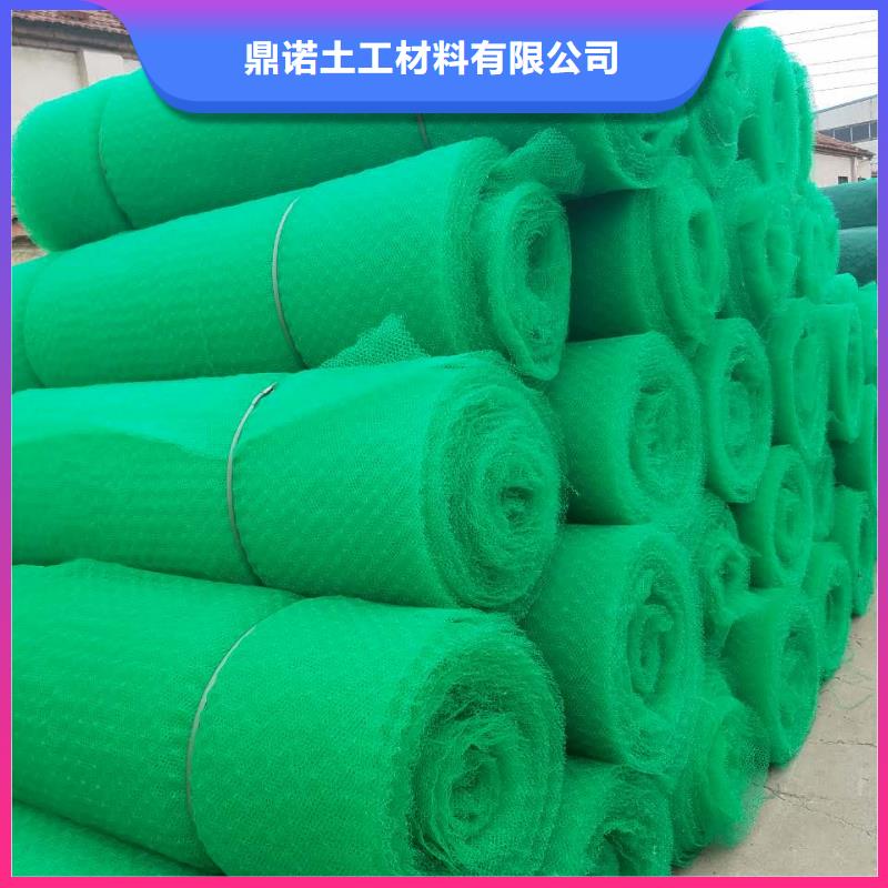 【三維植被網玻纖土工格柵批發商】