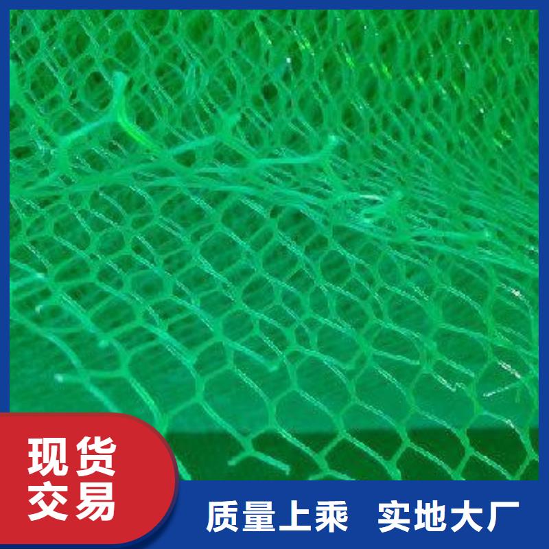 三維植被網,鋼塑土工格柵品質優良