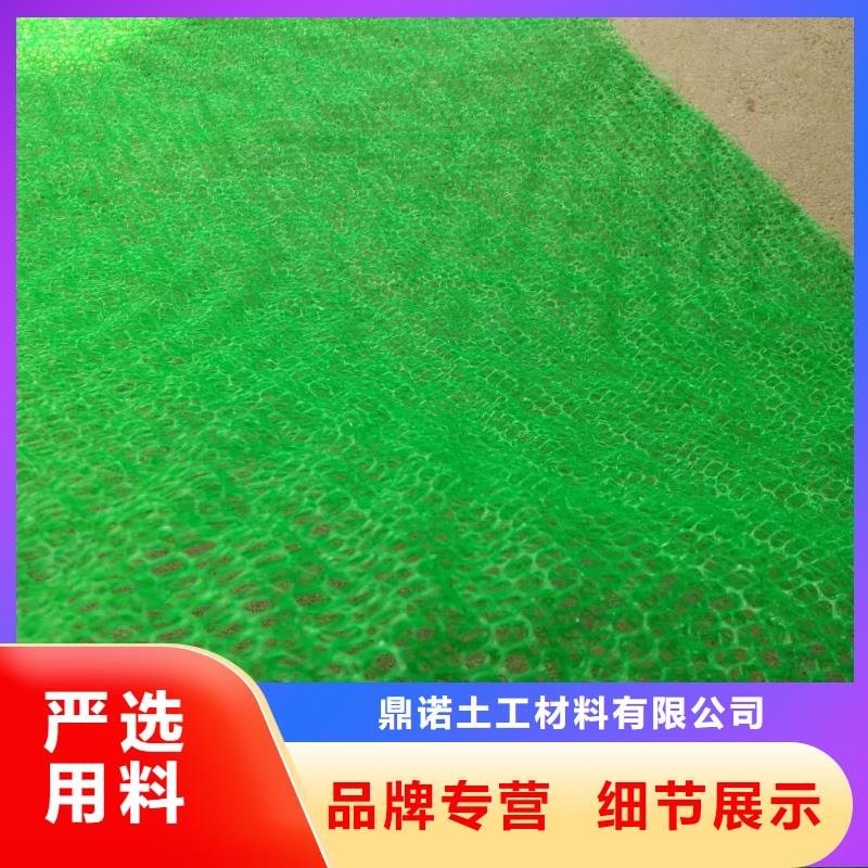 三維植被網(wǎng)價格