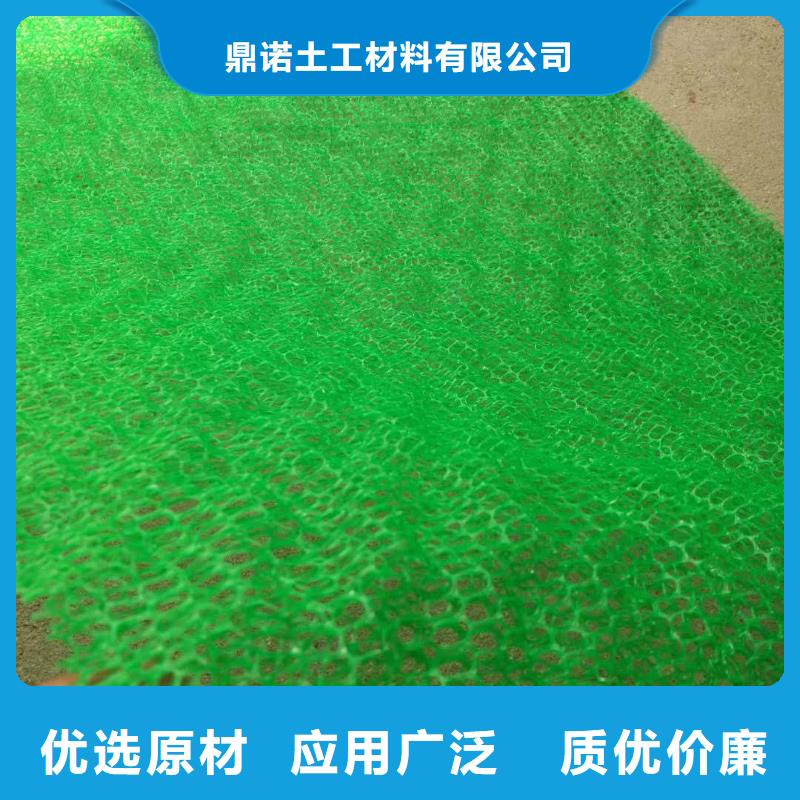 綠化植草三維土工網墊走量批發