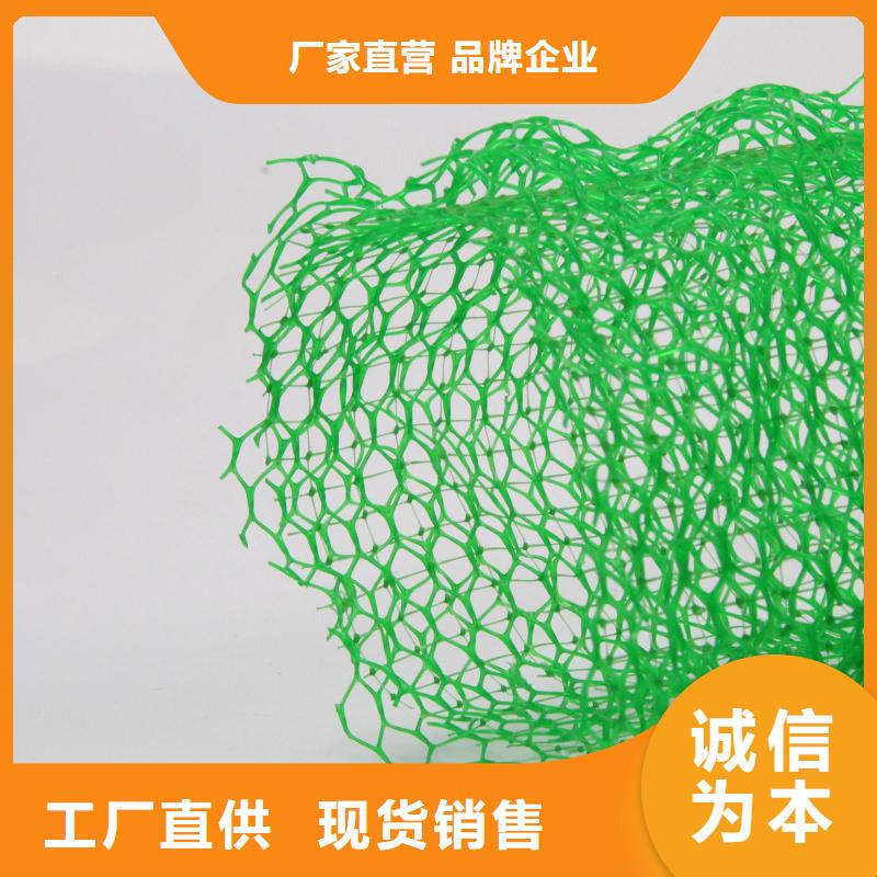 三維植被網廠家供應
