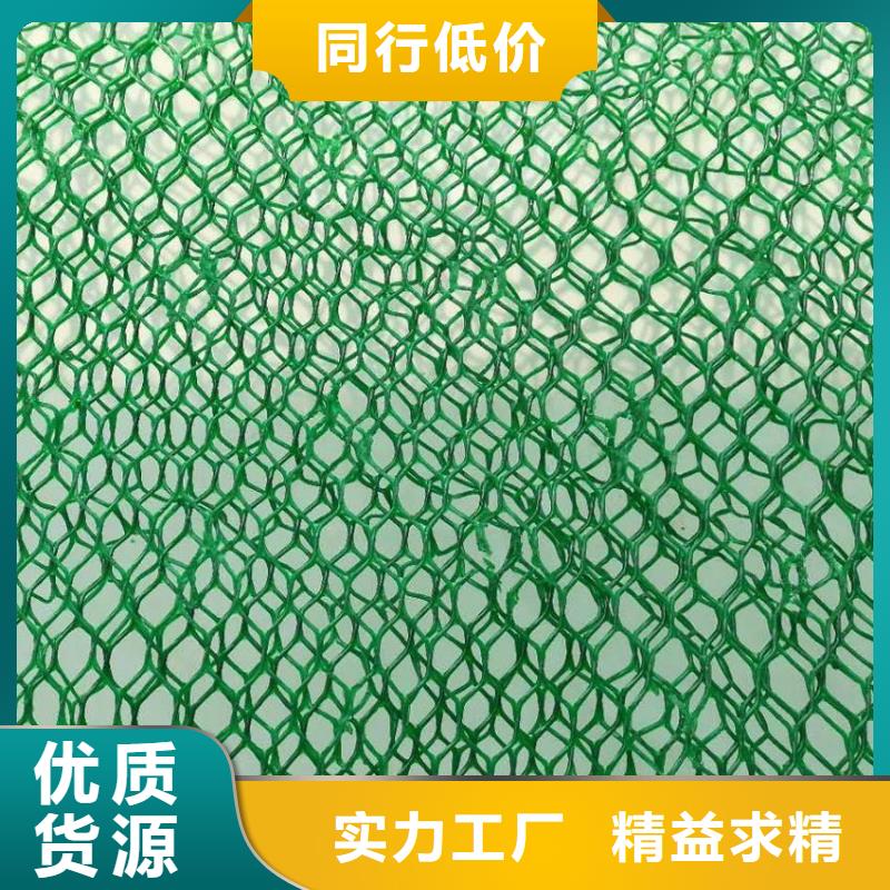 【 三维植被网,塑料盲沟经久耐用】