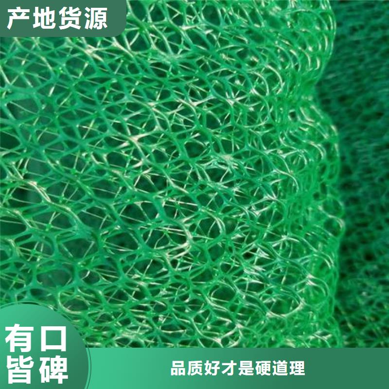 三維植被網_鋼塑土工格柵物流配送