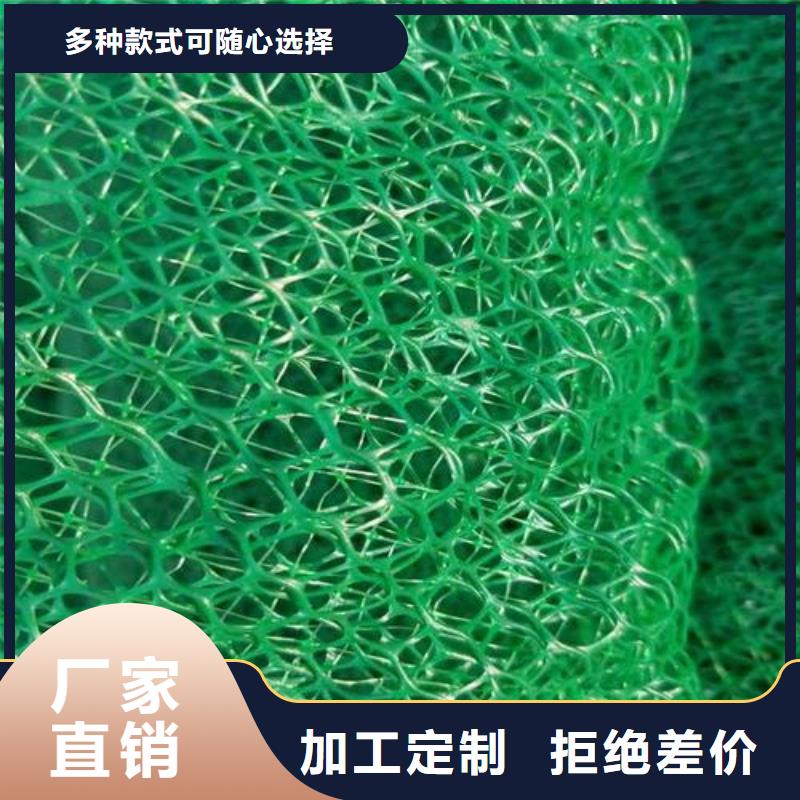 【三維植被網玻纖土工格柵批發商】