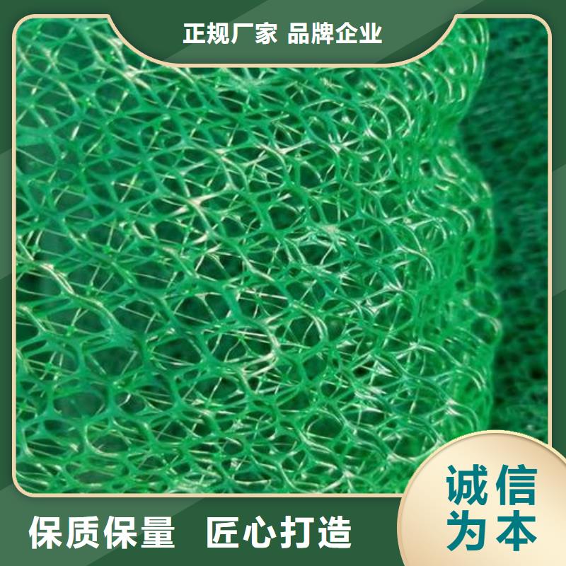 三維土工網墊-三維植被網價格；