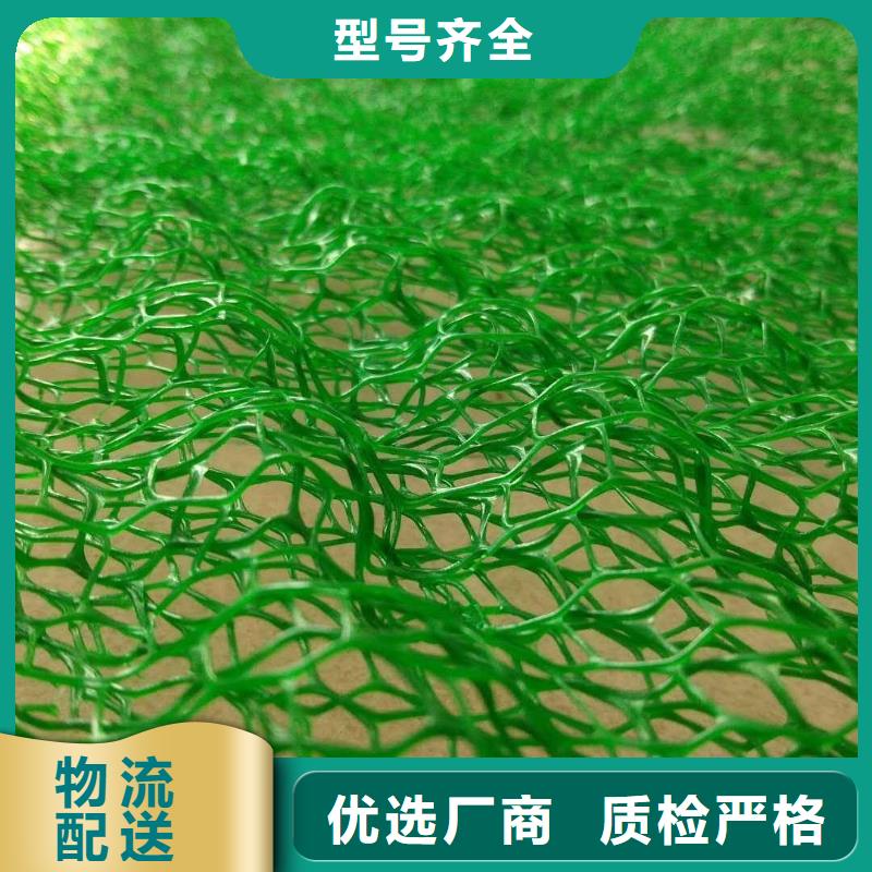 EM3三維植被網路通三維護坡網墊廠家直供