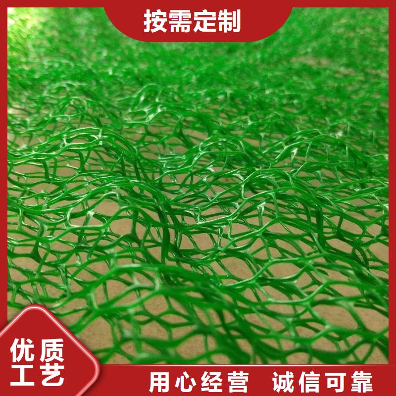 厚度16mm三維植被網(wǎng)植草護坡網(wǎng)