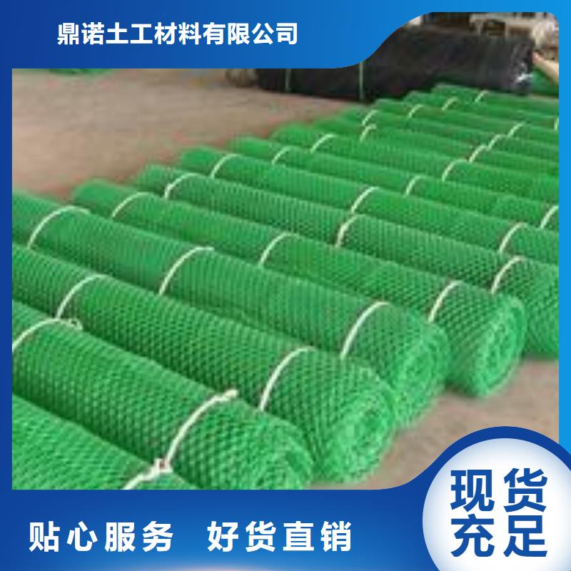 【 三维植被网,三维复合排水网多年厂家可靠】-鼎诺土工材料(吕梁市分公司)