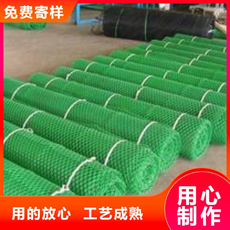 【三維植被網大廠家實力看得見】
