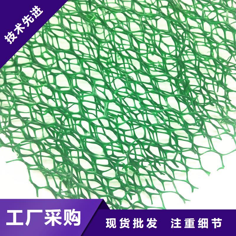 三維植被網三維復合排水網品質保證實力見證