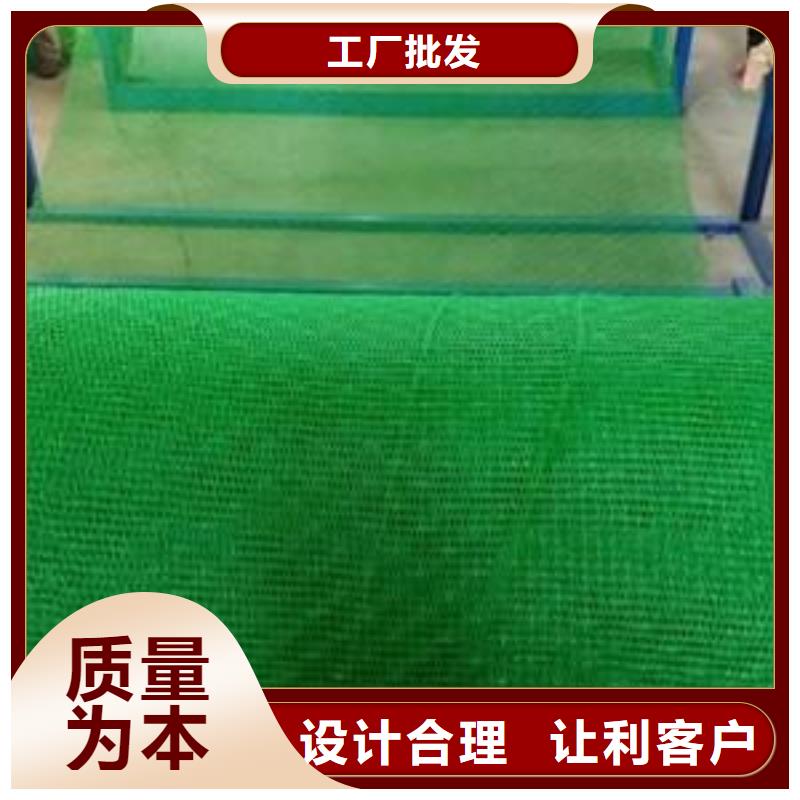 三維植被網,鋼塑土工格柵品質優良