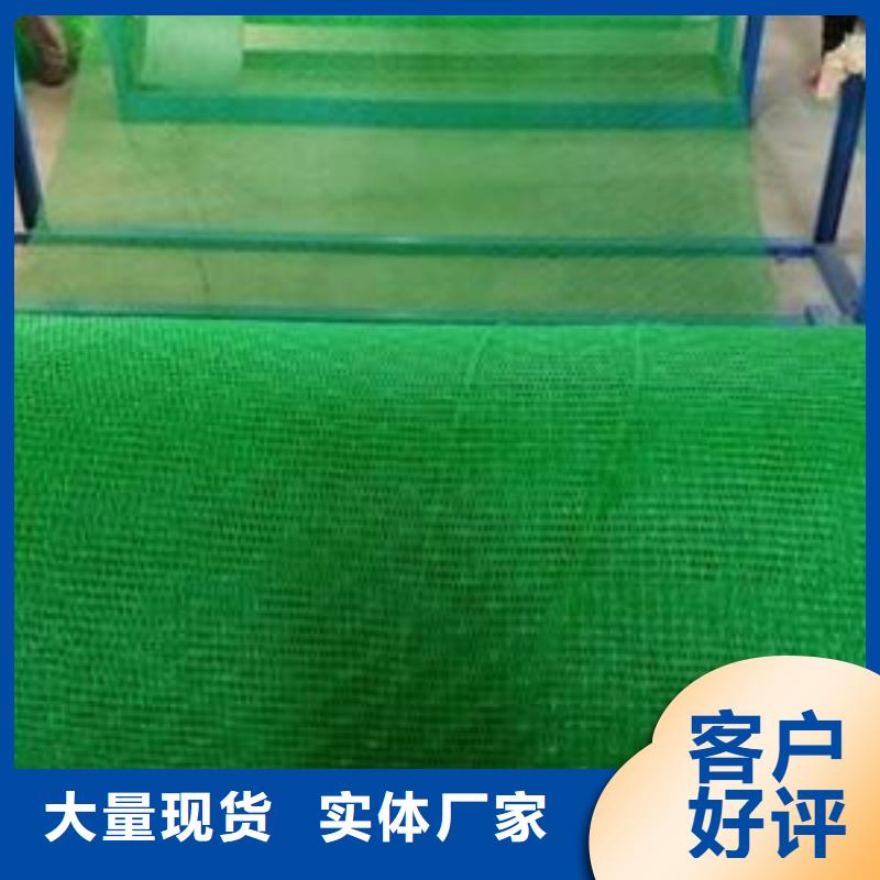 三維植被網(wǎng)單向塑料土工格柵品質(zhì)服務(wù)誠信為本