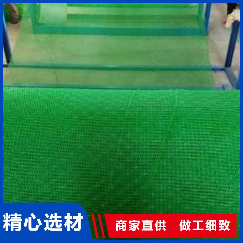 三維植被網(wǎng)噴播植草護(hù)坡網(wǎng)