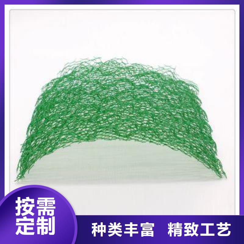 三维植被网三维复合排水网专注细节使用放心