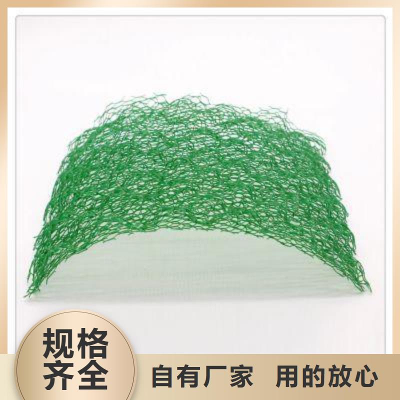 護(hù)坡三維植被網(wǎng)廠家