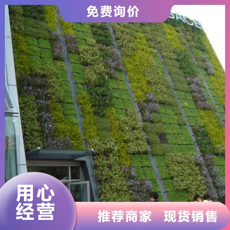 【三維植被網】-毛細排水板品質信得過
