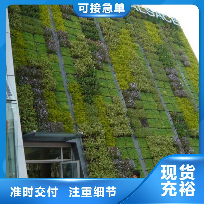 【三維植被網玻纖土工格柵批發商】