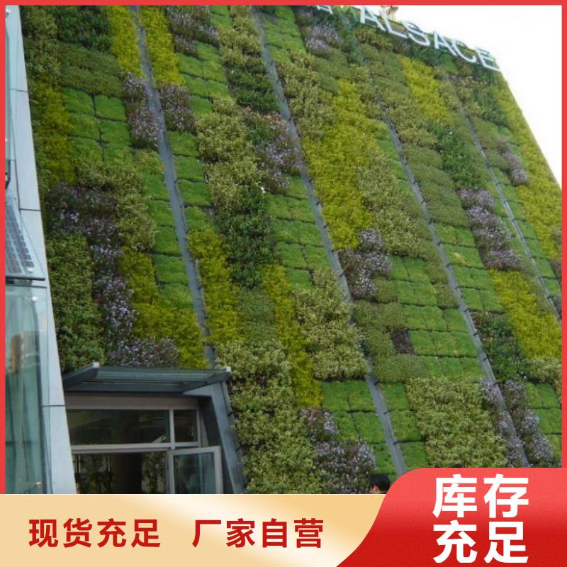 三維植被網-三維復合排水網廠家