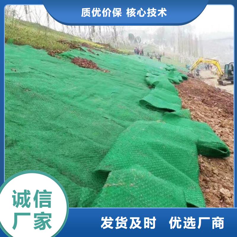 三維植被網(wǎng)價(jià)格-三維土工網(wǎng)墊生產(chǎn)廠家