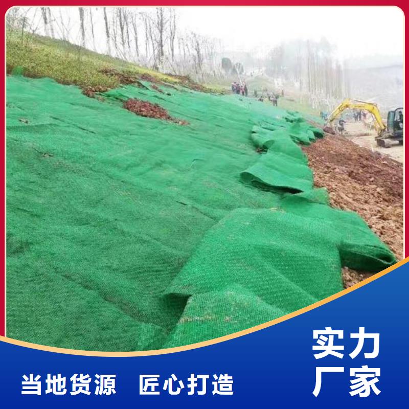 三維植被網三維復合排水網品質保證實力見證