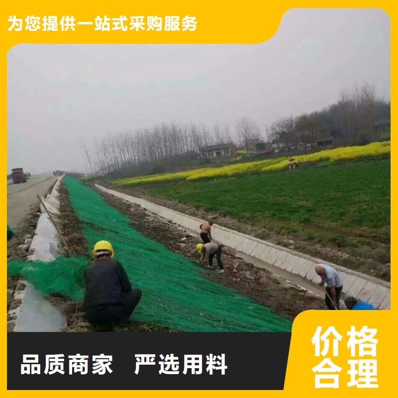 三維植被網誠信商家實地廠家廠家直銷歡迎選購