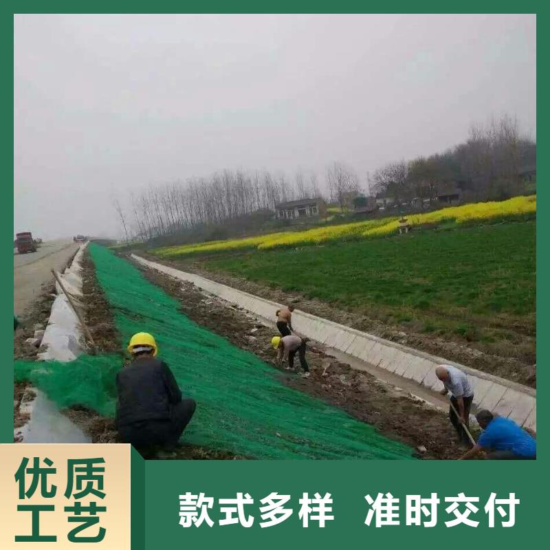 三維植被網-軟式透水管專注細節使用放心