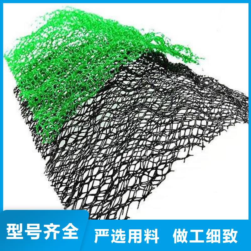 三維植被網三維復合排水網品質保證實力見證