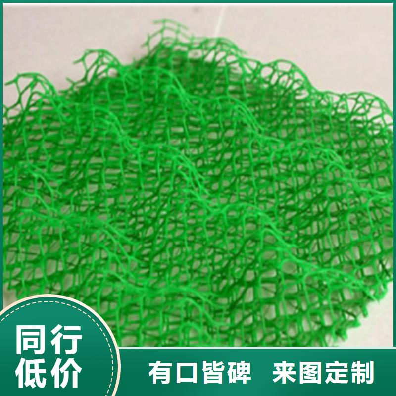 【 三维植被网,塑料盲沟经久耐用】