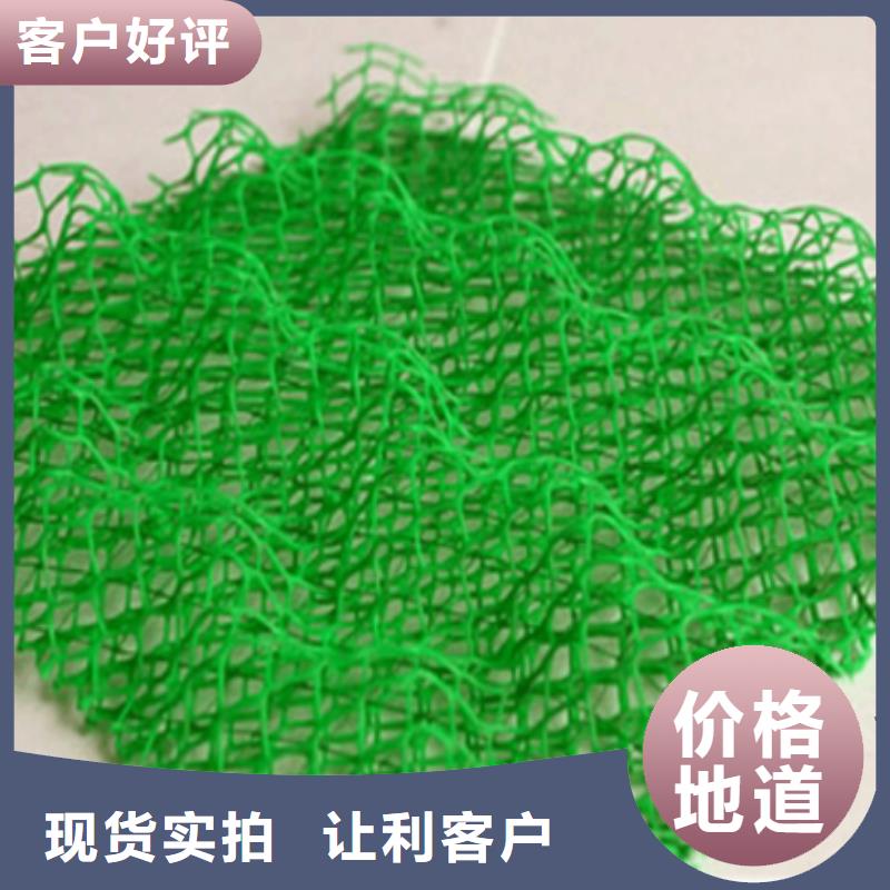 三維植被網【軟式透水管】用心制造