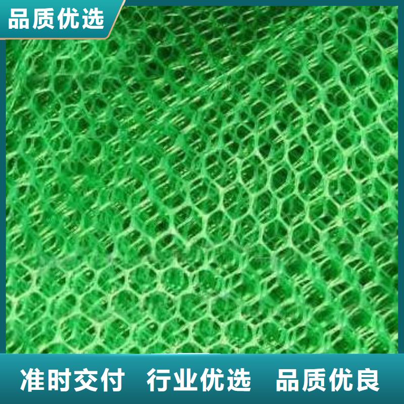 三維植被網_膨潤土防水毯質量牢靠