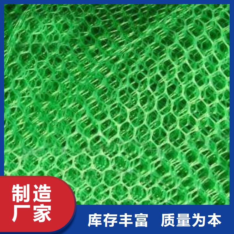 三維植被網復合土工膜來圖定制