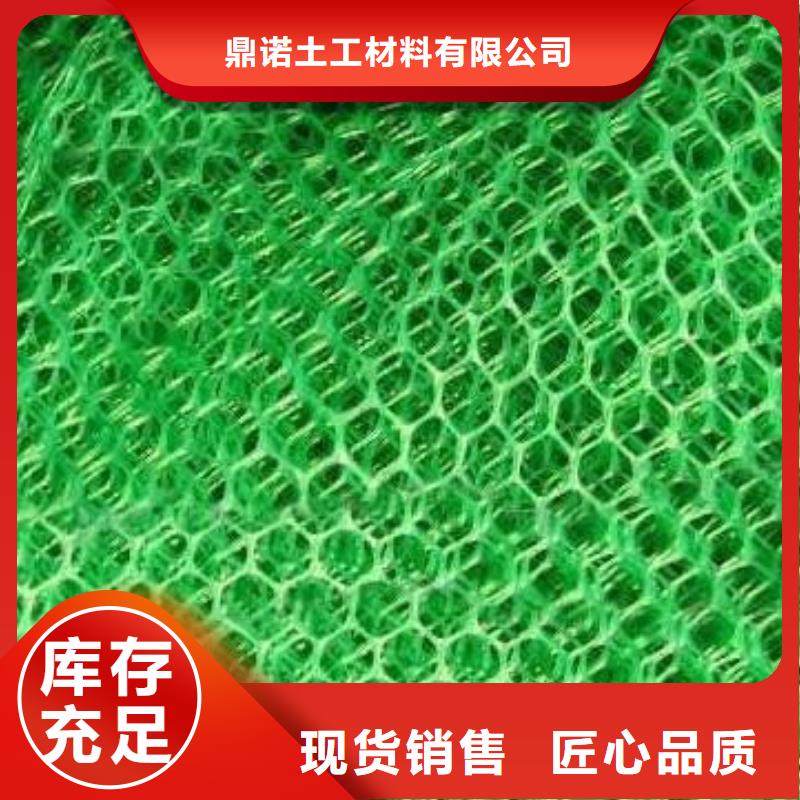 【三維植被網(wǎng)】單向塑料土工格柵廠家工藝先進(jìn)