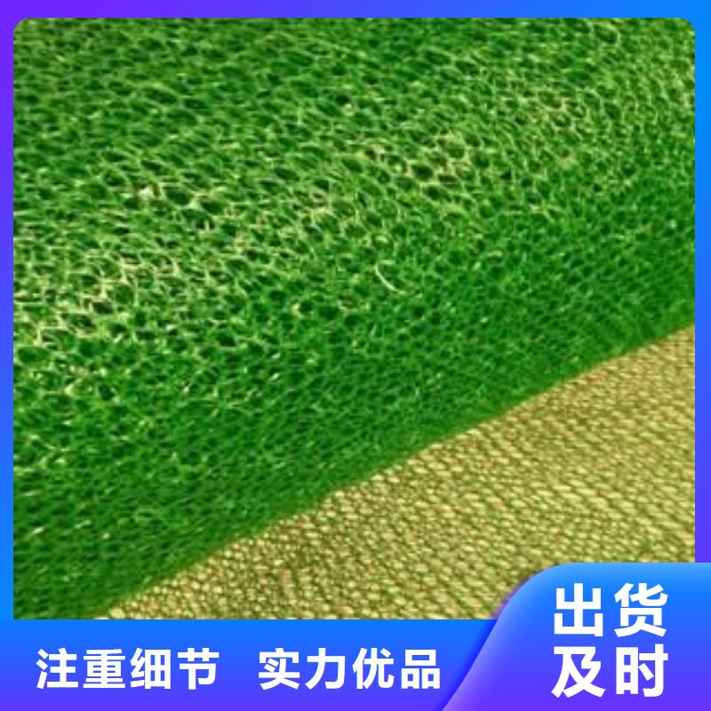 【 三维植被网,塑料盲沟经久耐用】