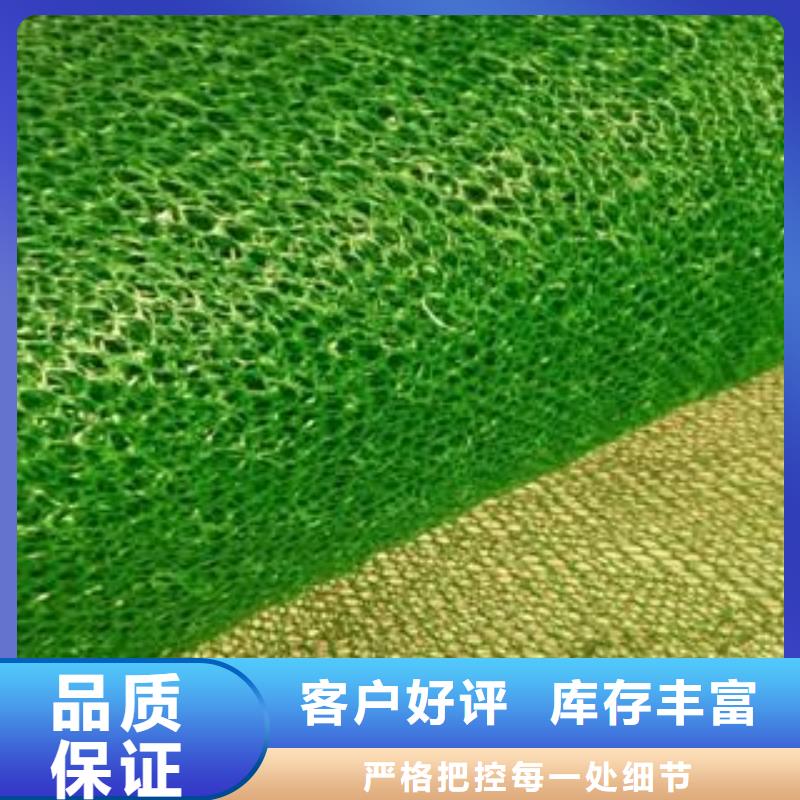 【 三维植被网,三维复合排水网多年厂家可靠】-鼎诺土工材料(吕梁市分公司)