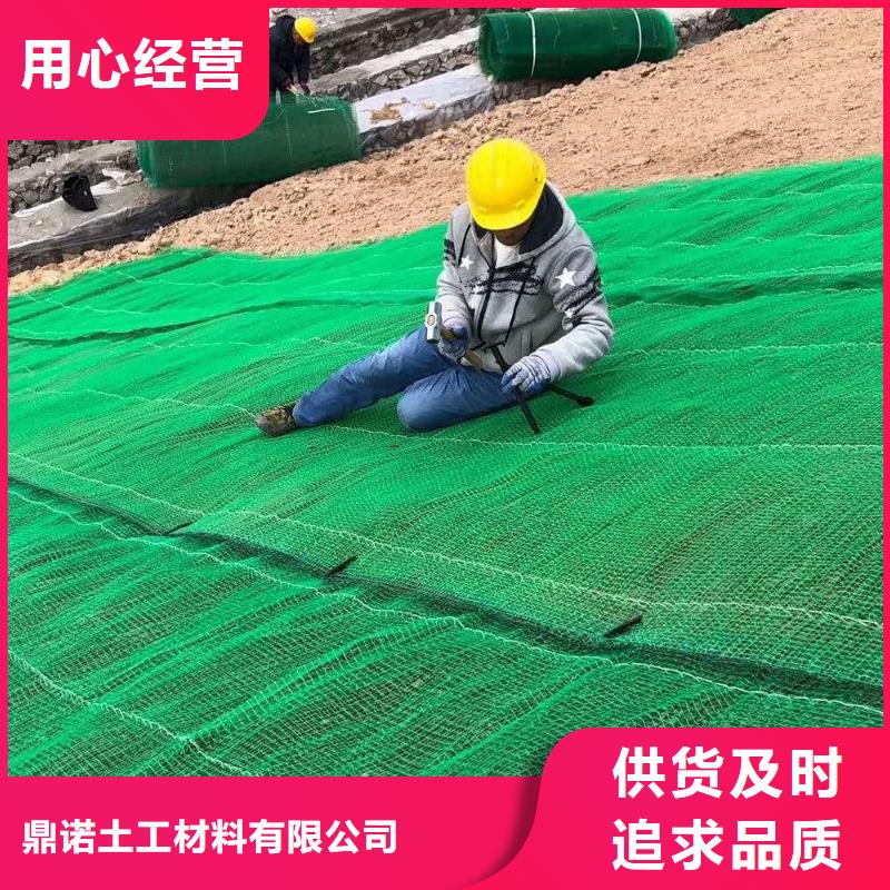 三維植被網三維土工網墊以質量求生存