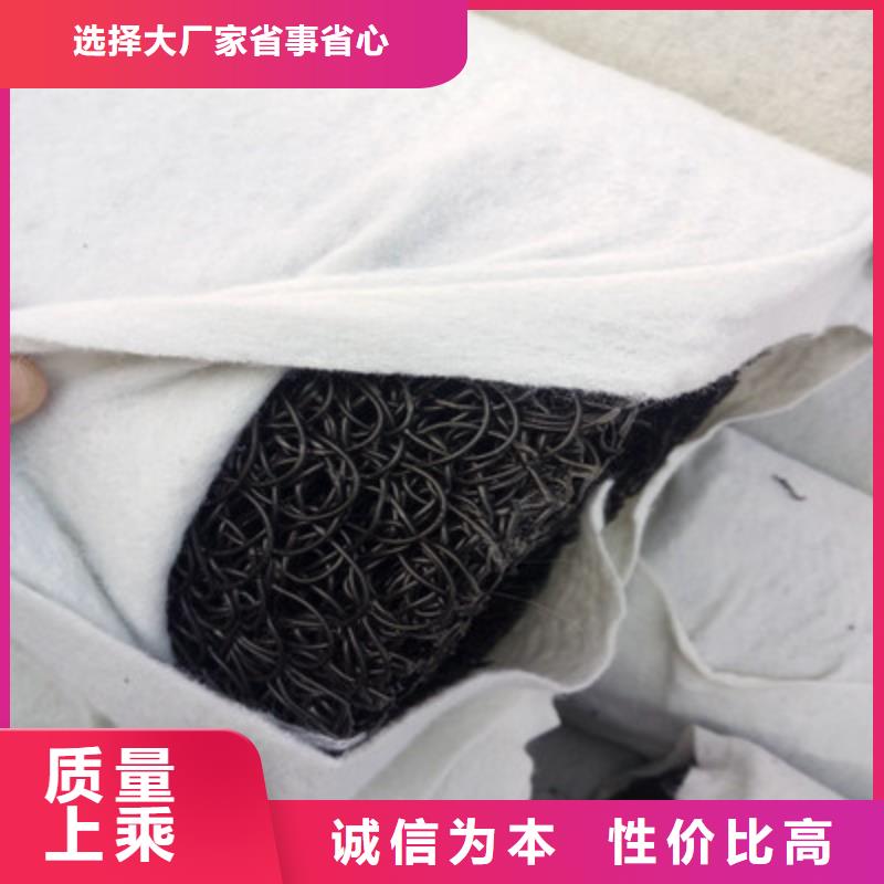 塑料盲溝護坡土工網好產品放心購