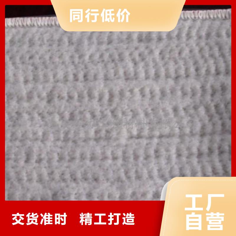 【膨潤土防水毯】三維復合排水網貨源直供