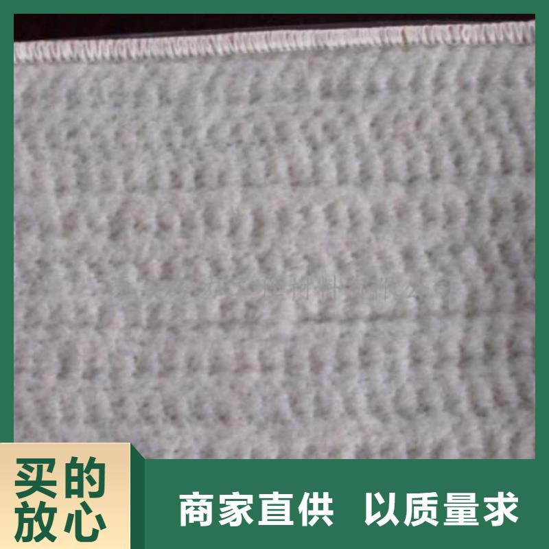 膨潤(rùn)土防水毯雙向塑料土工格柵制造生產(chǎn)銷售