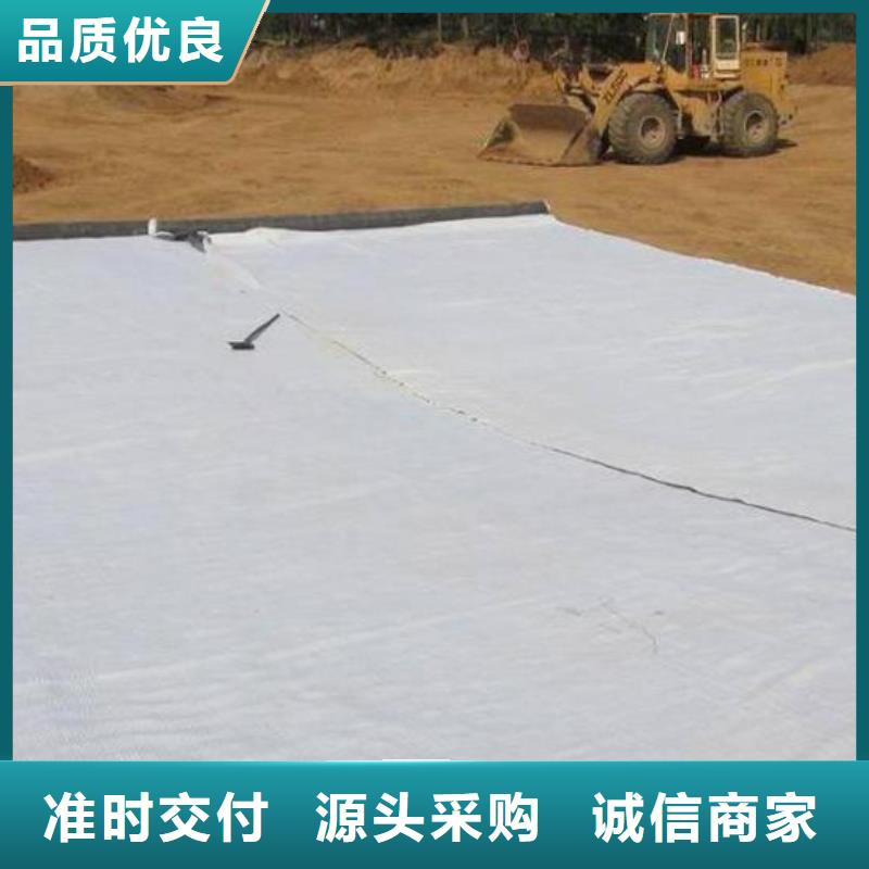 膨潤土防水毯【雙向塑料土工格柵】實力優品