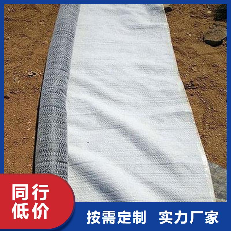 土工格室视频-土工格室-广西省梧州市【该地】厂家-岑溪|长洲|贺州|南宁|崇左|钦州|柳州