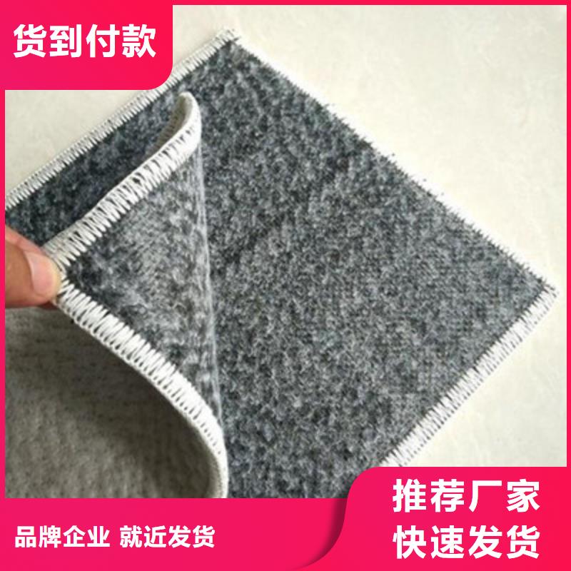 膨潤土防水毯短絲土工布種類齊全
