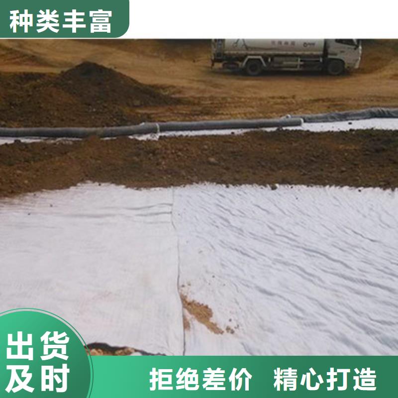膨潤(rùn)土防水毯塑料盲溝品種全