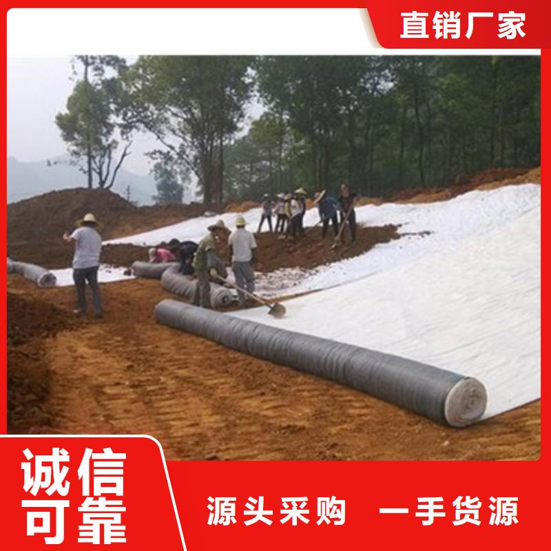 膨潤土防水毯玻纖格柵服務至上