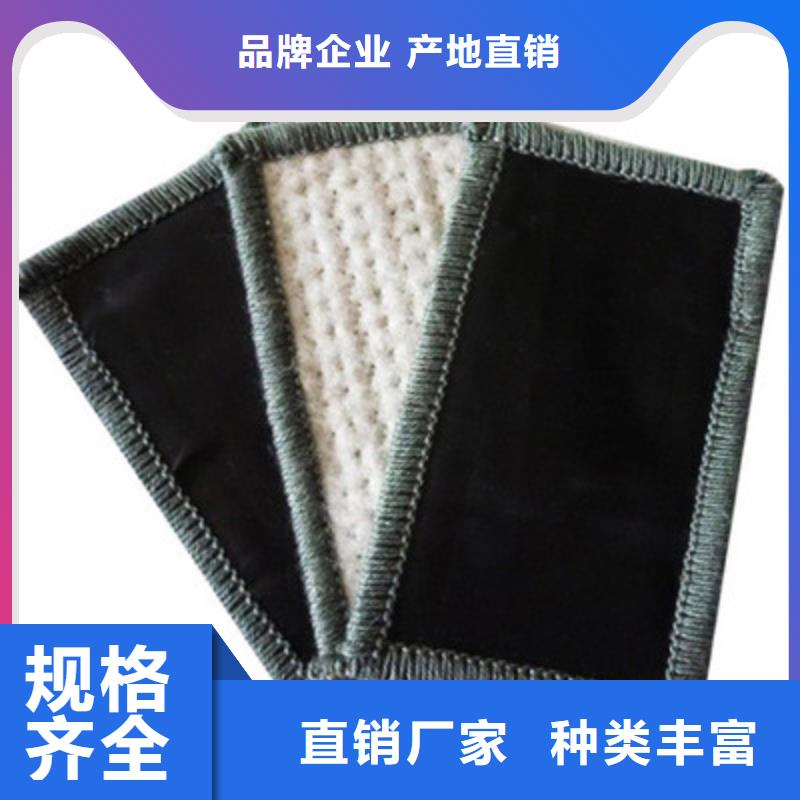 膨润土防水毯涤纶土工格栅工艺层层把关