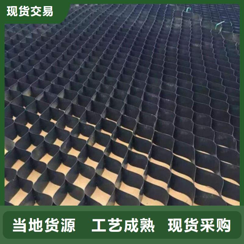 土工格室雙向塑料土工格柵貨真價實