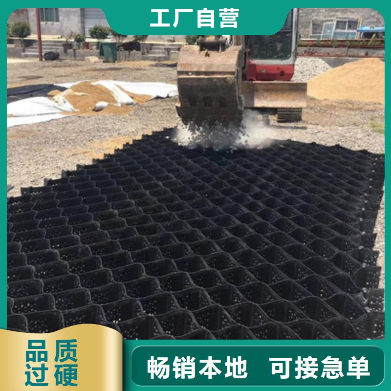 土工格室雙向塑料土工格柵貨真價實