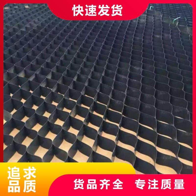 土工格室三维植被网一站式采购