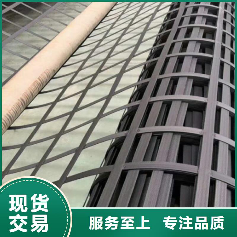 鋼塑土工格柵三維植被網廠家產地廠家直銷
