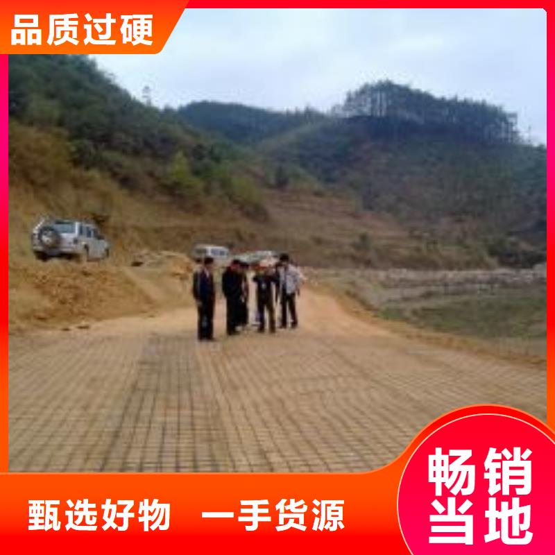 双向钢塑土工格栅厂家电话钢塑格栅供货及时